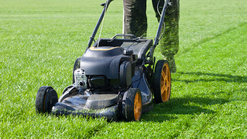 Hiring a Lawn services company