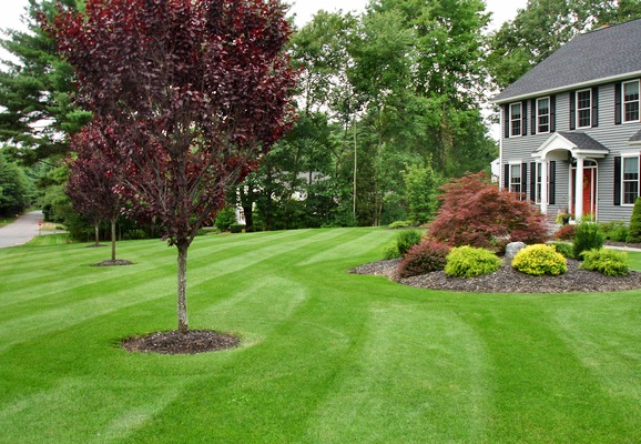 landscape contractor