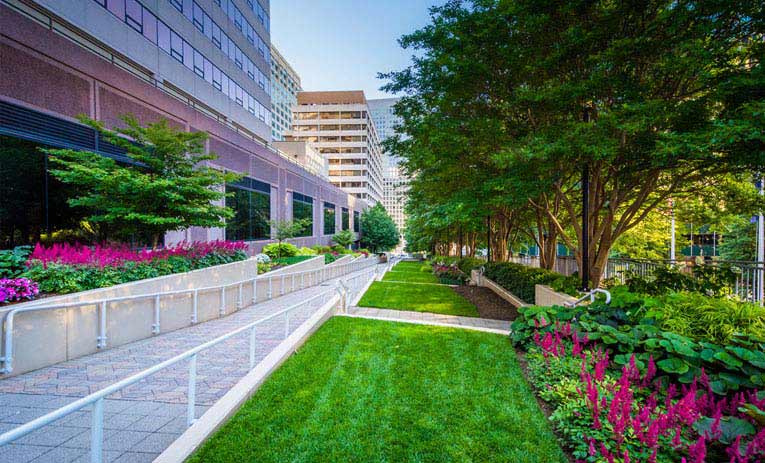 Hiring the Commercial Landscaping Services
