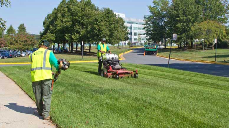 Why need to hire a prominent commercial landscape contractor in your city?