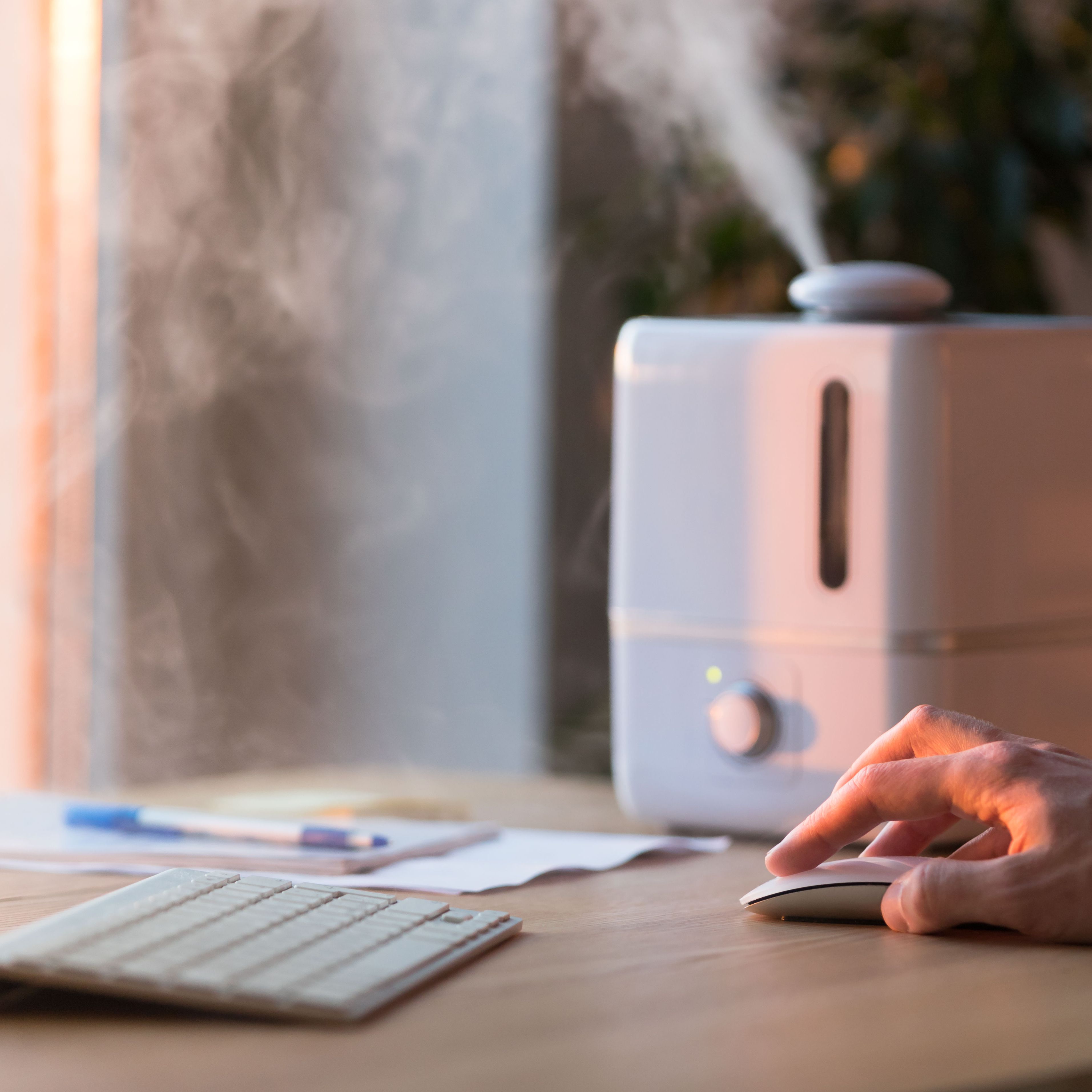 Everlasting Comfort Cool Mist Humidifier