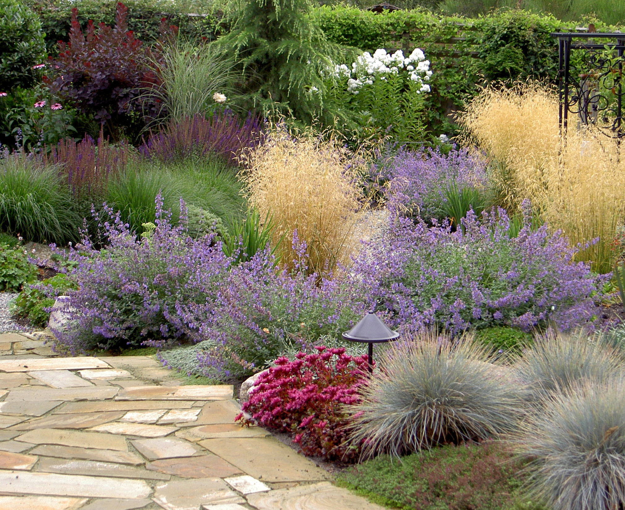 commercial landscape design