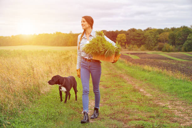 Functional Mushroom Soft Chews For Dogs
