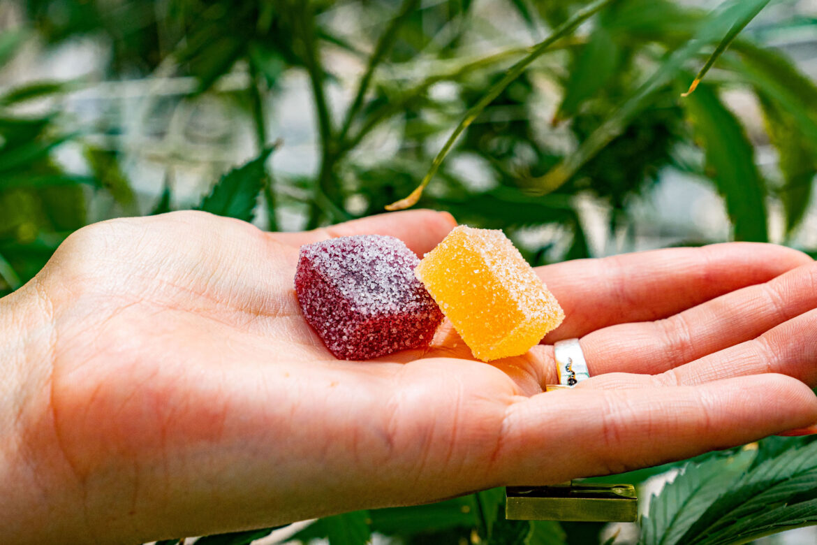 Driving After THC Gummies: Understanding the Risks and Precautions
